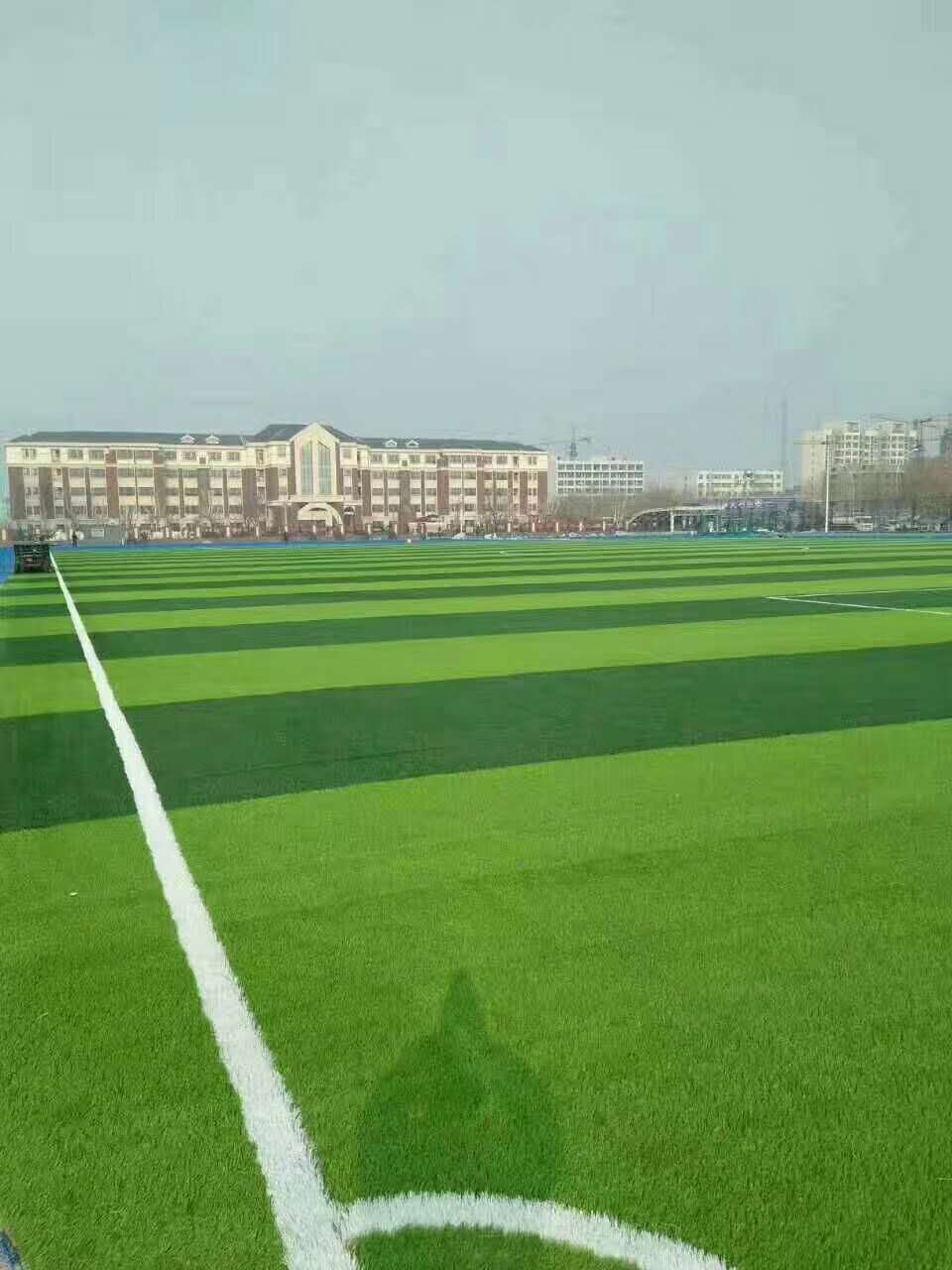 定西市epdm颗粒仿真草坪 - 哪里好